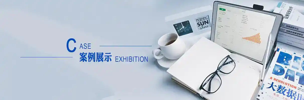 安平县软件开发
